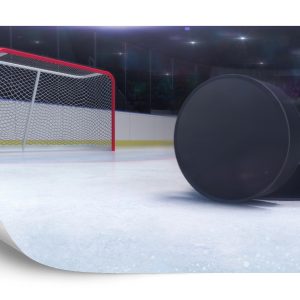 Papier Peint Rondelles De Hockey – Image 2