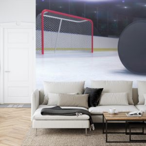 Papier Peint Rondelles De Hockey – Image 6