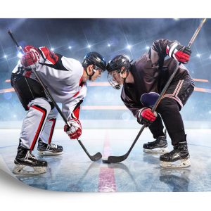 Papier Peint Le Début Du Match De Hockey – Image 2