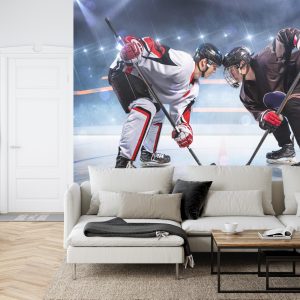 Papier Peint Le Début Du Match De Hockey – Image 6