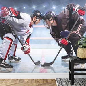 Papier Peint Le Début Du Match De Hockey – Image 7