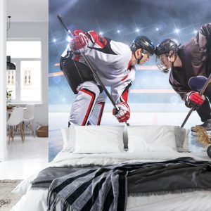 Papier Peint Le Début Du Match De Hockey – Image 8