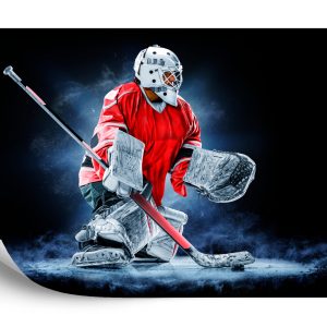 Papier Peint Gardien De But De Hockey – Image 2