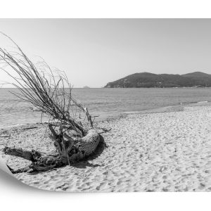 Papier Peint Plage De Sable – Image 2