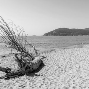 Papier Peint Plage De Sable – Image 1