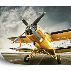 Papier Peint Avion Antique – Image 2