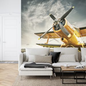 Papier Peint Avion Antique – Image 6