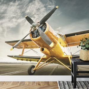 Papier Peint Avion Antique – Image 7