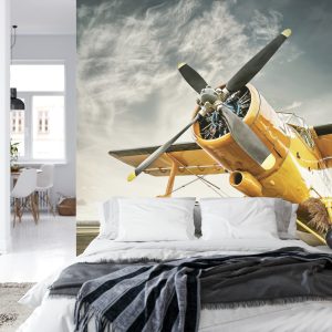 Papier Peint Avion Antique – Image 8