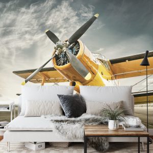 Papier Peint Avion Antique – Image 3