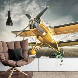 Papier Peint Avion Antique – Image 4