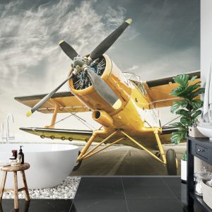 Papier Peint Avion Antique – Image 5