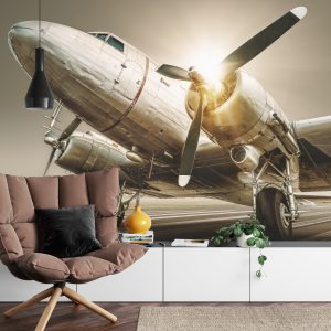 Papier Peint Avion Antique Au Coucher Du Soleil – Image 4