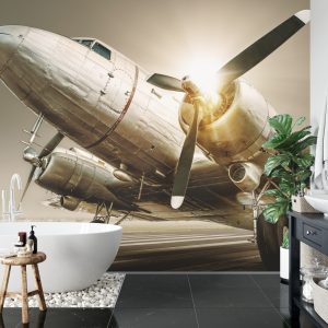 Papier Peint Avion Antique Au Coucher Du Soleil – Image 5