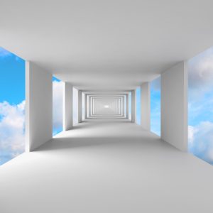 Papier Peint Forêt Dans Le Brouillard – Image 1