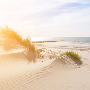 Papier Peint Plage Mer Dunes – Image 1