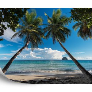 Papier Peint Plage Océan Palmiers – Image 2