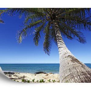 Papier Peint Plage Océan Palmiers – Image 2