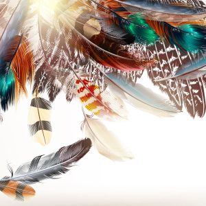 Papier Peint Plumes De Style Bohème – Image 1