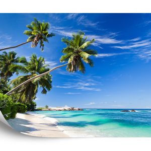Papier Peint Plage Océan Palmiers – Image 2