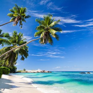 Papier Peint Plage Océan Palmiers – Image 1