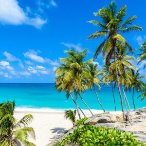 Papier Peint Plage Océan Palmiers – Image 1