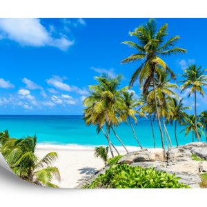 Papier Peint Plage Océan Palmiers – Image 2