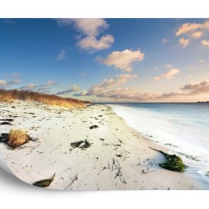 Papier Peint Plage Mer Dunes – Image 2