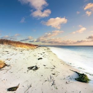 Papier Peint Plage Mer Dunes – Image 1