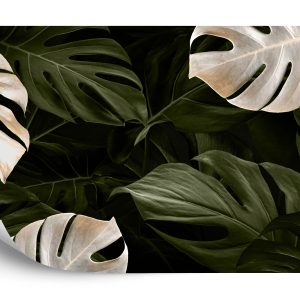 Papier Peint Feuilles De Monstera Blanches Et Vertes – Image 2