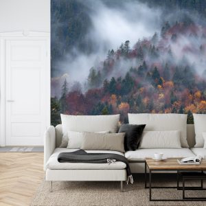 Papier Peint Forêt D'automne Dans Un Beau Brouillard – Image 6