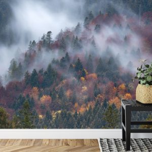 Papier Peint Forêt D'automne Dans Un Beau Brouillard – Image 7