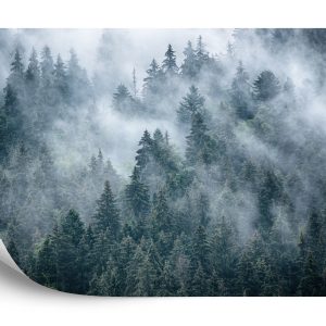 Papier Peint Forêt Brumeuse Dans Les Montagnes – Image 2