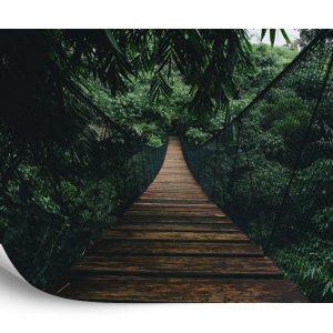 Papier Peint Pont Suspendu Dans Une Forêt – Image 2