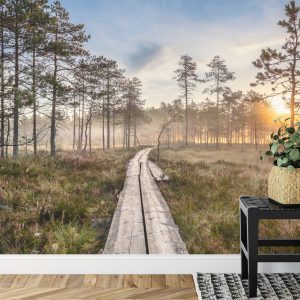 Papier Peint Chemin En Bois Dans La Forêt – Image 7