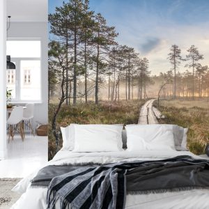 Papier Peint Chemin En Bois Dans La Forêt – Image 8