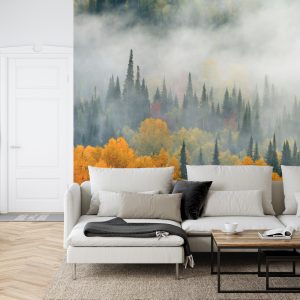 Papier Peint Brouillard Sur La Forêt D'automne – Image 6