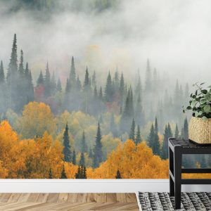 Papier Peint Brouillard Sur La Forêt D'automne – Image 7