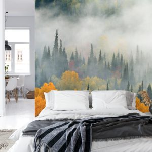 Papier Peint Brouillard Sur La Forêt D'automne – Image 8