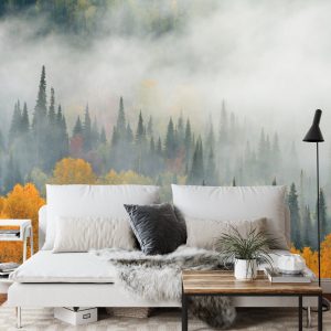 Papier Peint Brouillard Sur La Forêt D'automne – Image 3