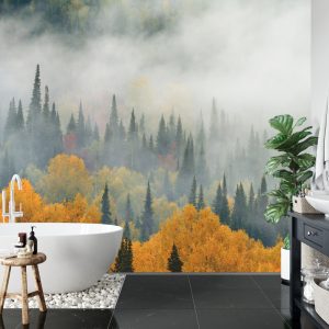 Papier Peint Brouillard Sur La Forêt D'automne – Image 5