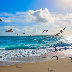 Papier Peint Plage Mer Vagues – Image 1