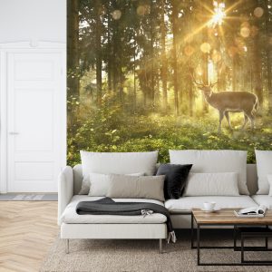 Papier Peint Cerf Dans La Forêt Le Matin – Image 6