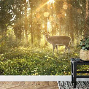 Papier Peint Cerf Dans La Forêt Le Matin – Image 7