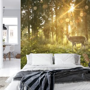 Papier Peint Cerf Dans La Forêt Le Matin – Image 8