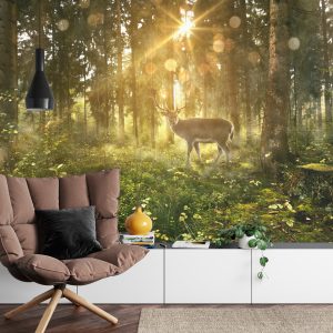 Papier Peint Cerf Dans La Forêt Le Matin – Image 4