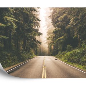 Papier Peint Route Dans Une Forêt Américaine – Image 2