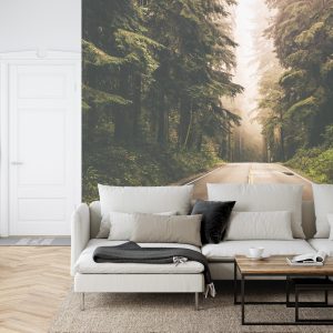 Papier Peint Route Dans Une Forêt Américaine – Image 6