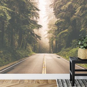 Papier Peint Route Dans Une Forêt Américaine – Image 7