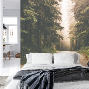 Papier Peint Route Dans Une Forêt Américaine – Image 8